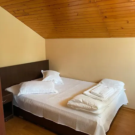 Casa Elegant Pensiune *